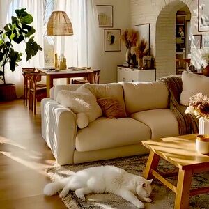 I wear sunglasses because I’m sick ‼️‼️‼️‼️‼️‼️‼️‼️‼️